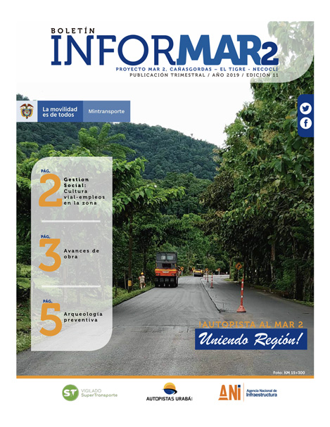 Portada boletín informar 11