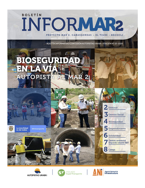 Portada boletín informar 15