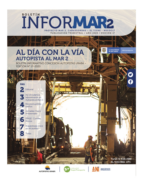 Portada boletín informar 17