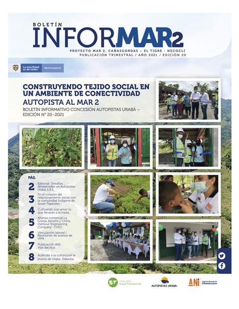 Portada boletín informar 20
