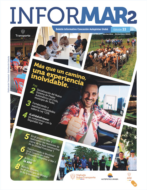 Portada boletín informar 33