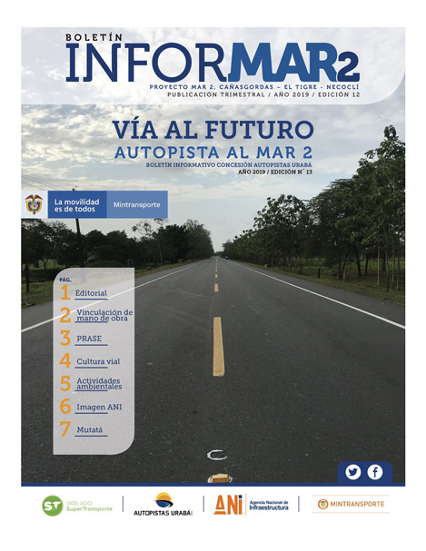 Portada boletín informar 13